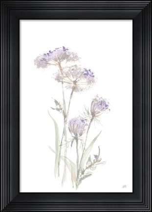 Framed Tall Queen Annes Lace II Print