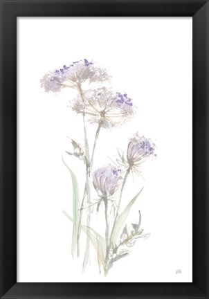 Framed Tall Queen Annes Lace II Print