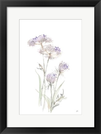 Framed Tall Queen Annes Lace II Print
