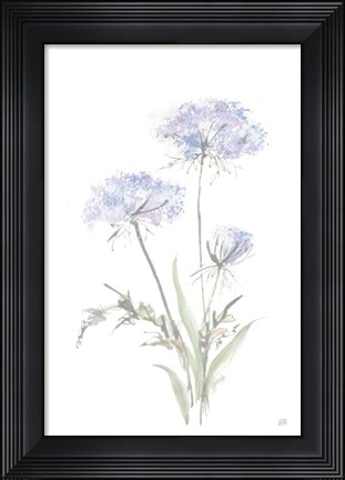 Framed Tall Queen Annes Lace I Print
