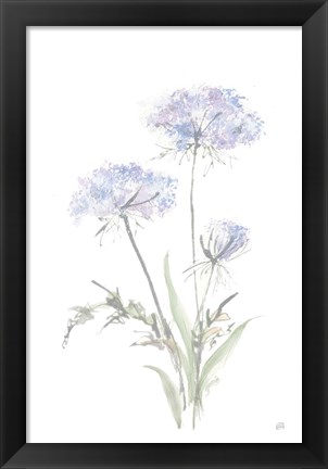 Framed Tall Queen Annes Lace I Print