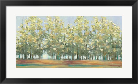 Framed Aspen Grove III Print