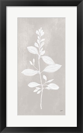 Framed Botanical Study VIII Neutral Print