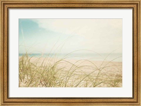 Framed Beach Grass V Light Print