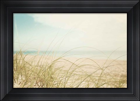 Framed Beach Grass V Light Print