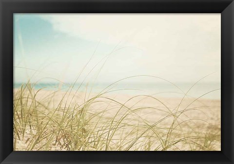 Framed Beach Grass V Light Print