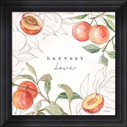 Framed In the Orchard V Print