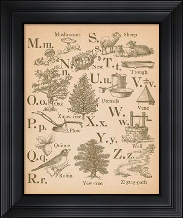 Framed Vintage Alphabet II Print