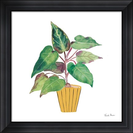 Framed Potted Jewels IV Print