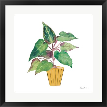 Framed Potted Jewels IV Print