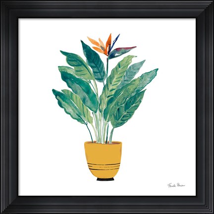 Framed Potted Jewels III Print