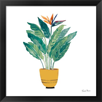 Framed Potted Jewels III Print