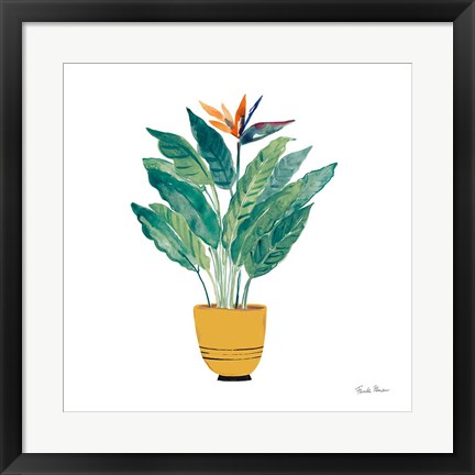 Framed Potted Jewels III Print