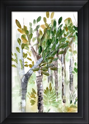 Framed Birch Forest I Print