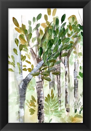 Framed Birch Forest I Print