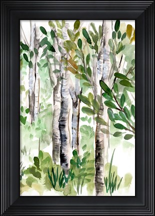 Framed Birch Forest II Print