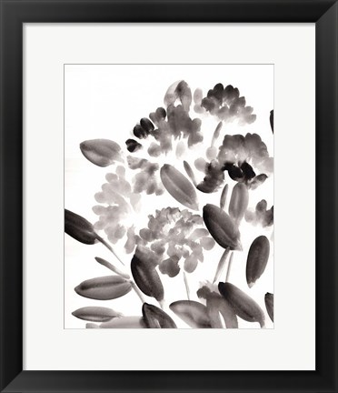 Framed Simple Black Peonies II Print