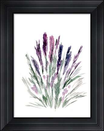 Framed Lavender Print