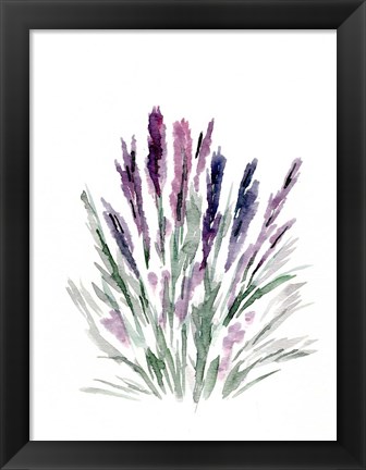 Framed Lavender Print