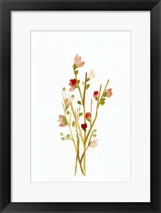Framed Golden Pink Blossoms Print