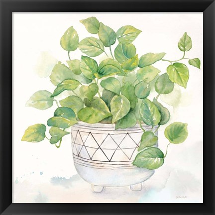 Framed Houseplant I-Philodendron Print