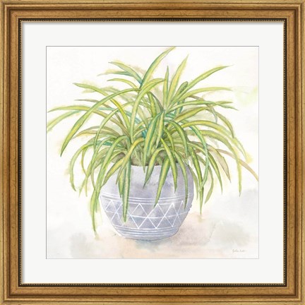 Framed Houseplant II-Spider Plant Print