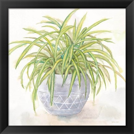 Framed Houseplant II-Spider Plant Print