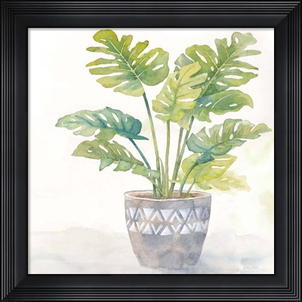 Framed Houseplant III-Split Leaf Philodendron Print