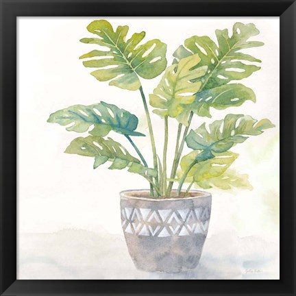 Framed Houseplant III-Split Leaf Philodendron Print