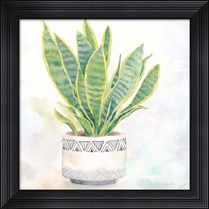 Framed Houseplant IV-Snake Plant Print