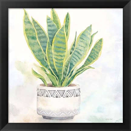 Framed Houseplant IV-Snake Plant Print