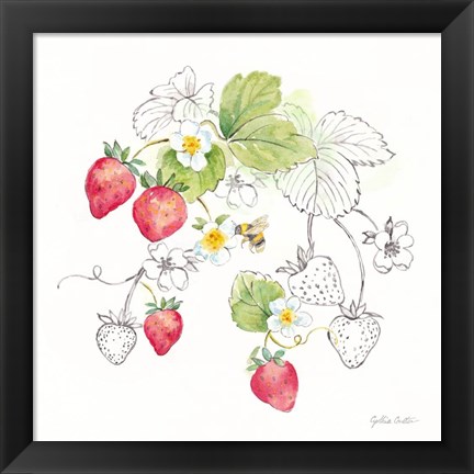 Framed Berries and Bees II Print