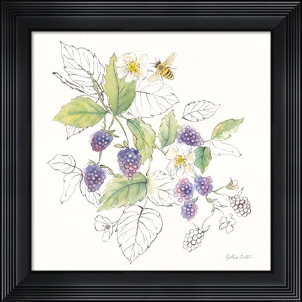 Framed Berries and Bees III Print