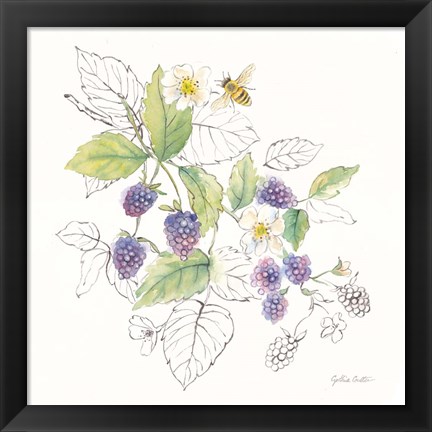 Framed Berries and Bees III Print