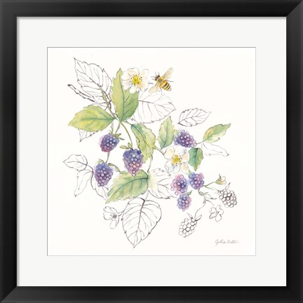 Framed Berries and Bees III Print