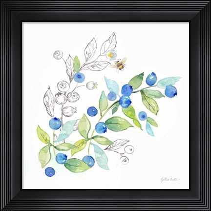 Framed Berries and Bees IV Print