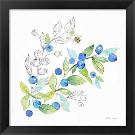 Framed Berries and Bees IV Print