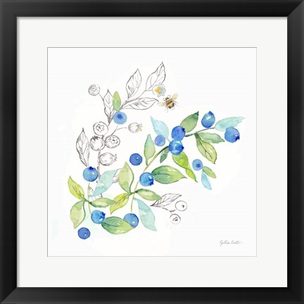 Framed Berries and Bees IV Print