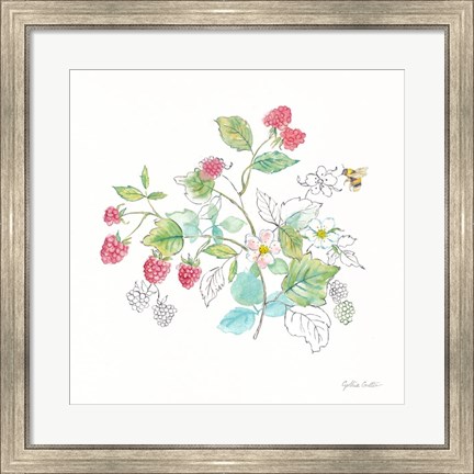 Framed Berries and Bees V Print