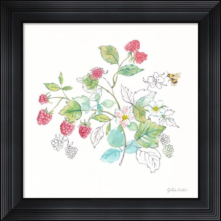 Framed Berries and Bees V Print