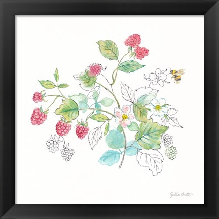 Framed Berries and Bees V Print