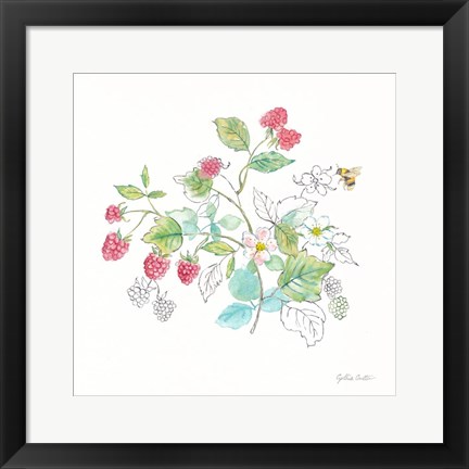 Framed Berries and Bees V Print