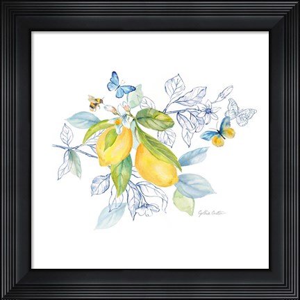 Framed Lemon Sketch Book II Print