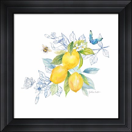 Framed Lemon Sketch Book III Print