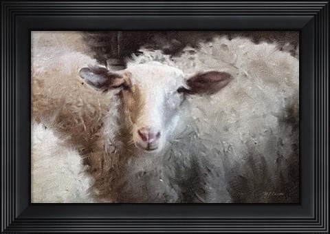 Framed Sheep&#39;s Flock Print