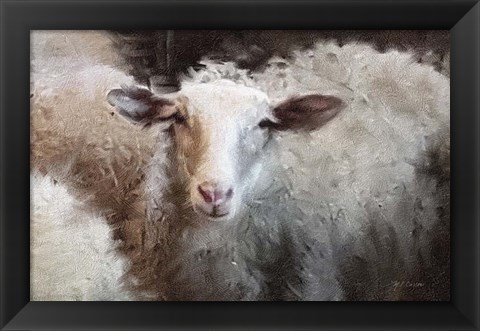 Framed Sheep&#39;s Flock Print