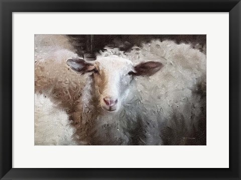 Framed Sheep&#39;s Flock Print