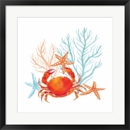 Framed Coral Aqua VIII Print