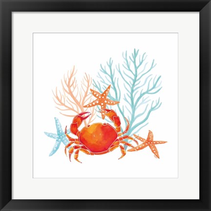 Framed Coral Aqua VIII Print