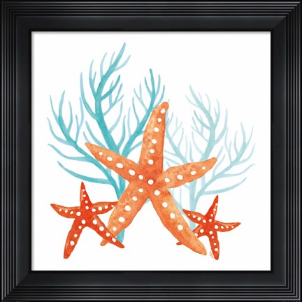 Framed Coral Aqua XIV Print